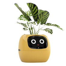 Load image into Gallery viewer, Verdus™ - Tuya Ivy Smart Planter