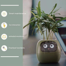 Load image into Gallery viewer, Verdus™ - Tuya Ivy Smart Planter
