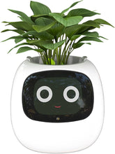 Load image into Gallery viewer, Verdus™ - Tuya Ivy Smart Planter
