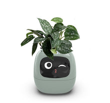 Load image into Gallery viewer, Verdus™ - Tuya Ivy Smart Planter

